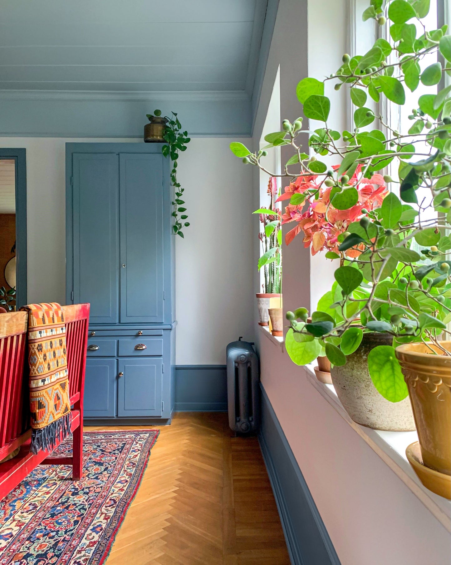 Cornice styrofoam DP22